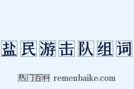 盐民游击队组词是什么意思的图片